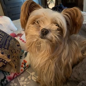 Meet your Posher, Angela